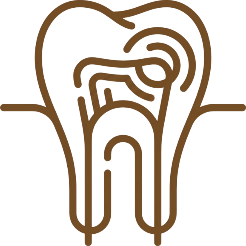 endodoncias