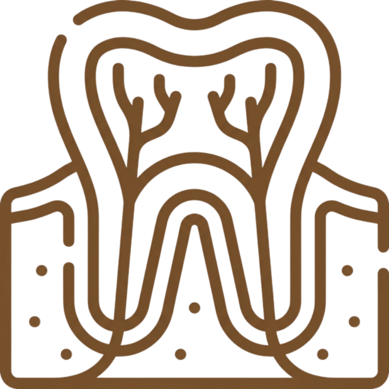 periodoncias